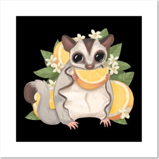 Orange Citrus Sugar Glider Posters and Art